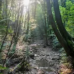 Malom Udvar Apartamento